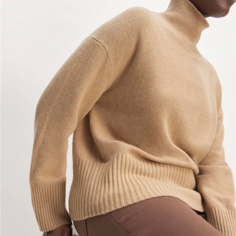 Everlane Cashmere Oversized Turtleneck XS